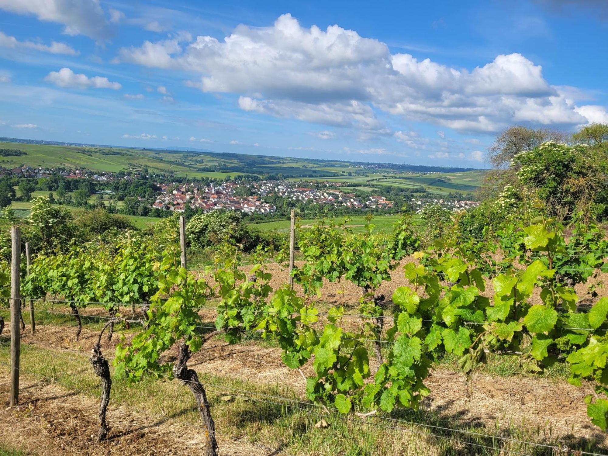 Das Hoefchen Stadecken Bagian luar foto