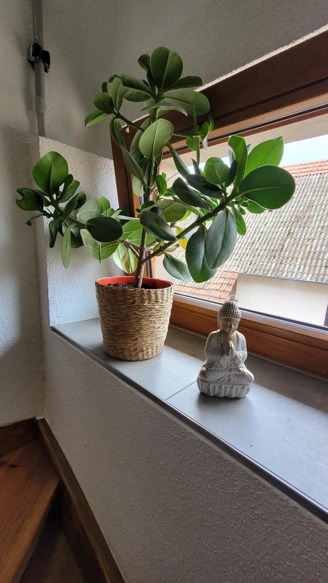 Das Hoefchen Stadecken Bagian luar foto